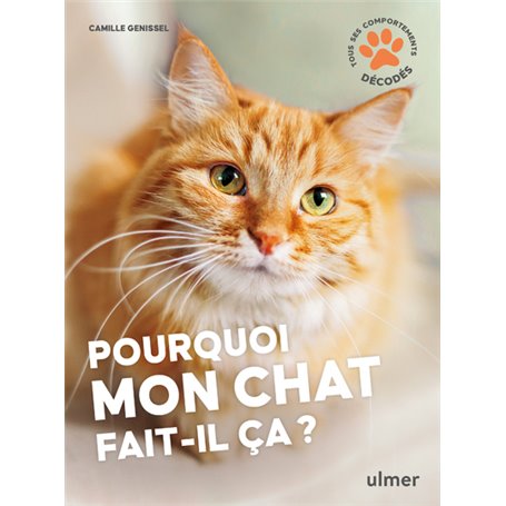 Pourquoi mon chat fait-il ça?