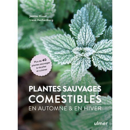 Plantes sauvages comestibles en automne et en hiver