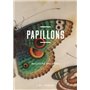 Papillons - Messagers éphémères - L'oeil curieux