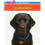 Le Labrador