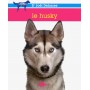 Le Husky