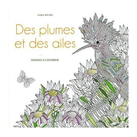 Des plumes et des ailes - Dessins à colorier