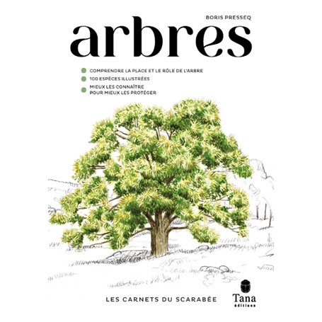 Les carnets du scarabée Arbres