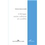 L'Afrique, entre cultures et conflits