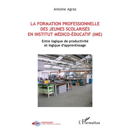 La formation professionnelle des jeunes scolarisés en istitut médico-éducatif (IME)