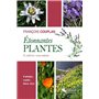 Etonnantes plantes à cultiver vous-même