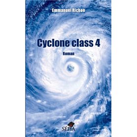 Cyclone class 4