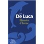 Histoire d'Irène