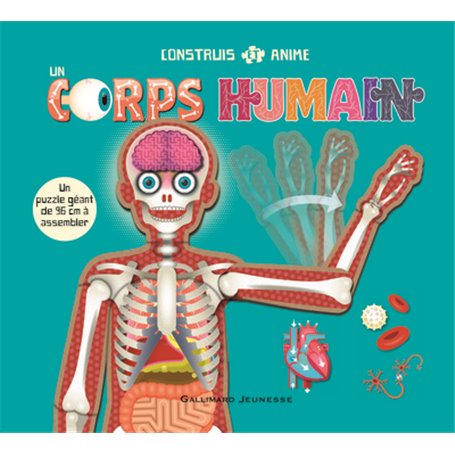 Construis et anime un corps humain