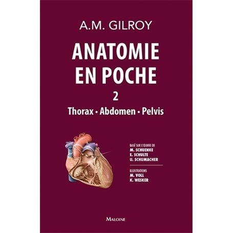 anatomie en poche vol 2