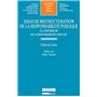 essai de restructuration de la responsabilité publique