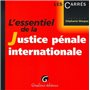 l'essentiel de la justice pénale internationale