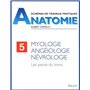 Myologie, angéiologie, névrologie
