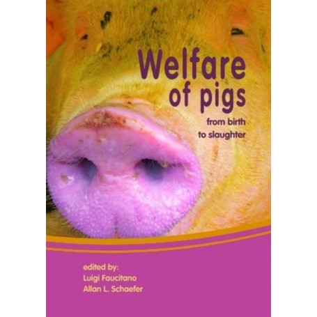 Welfare of pigs