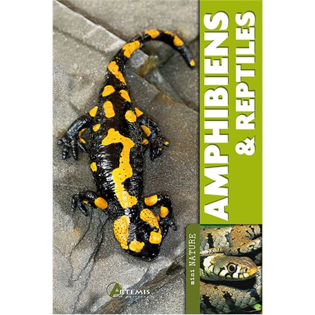 Amphibiens & reptiles