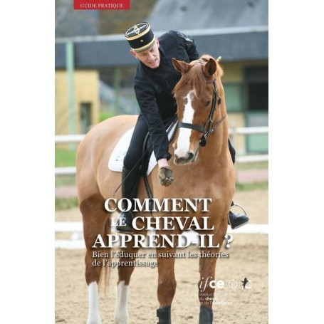 Comment le cheval apprend-il ?