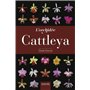 L'orchidée Cattleya