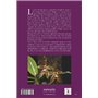 Phalaenopsis - Une orchidée méconnue