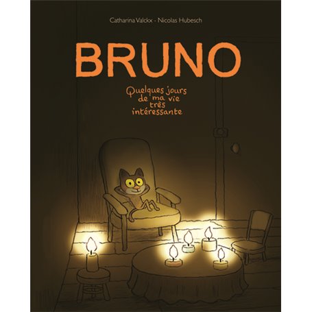 bruno quelques jours de ma vie tres interessante