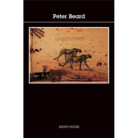 Peter Beard