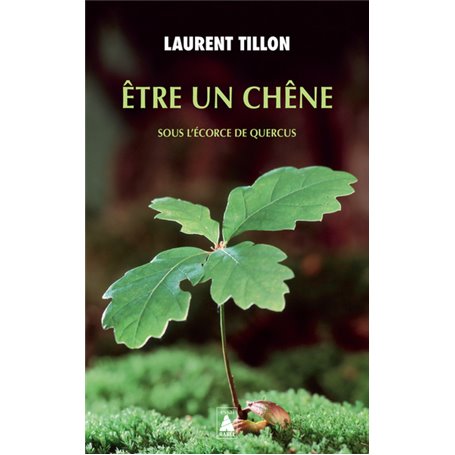 Être un chêne