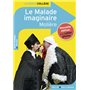 Le Malade imaginaire