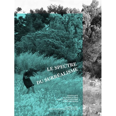 Le spectre du surréalisme