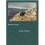 Bernard Plossu, tirages Fresson