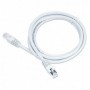 Câble Réseau Rigide FTP 6ème Catégorie GEMBIRD 5m Cat6 RJ-45 LSZH (Ø 6