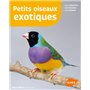 Petits oiseaux exotiques