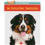 Le bouvier bernois NE