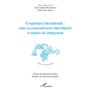 Coopération internationale : entre accommodements interculturels et utopies du changement