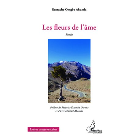 Les fleurs de l'âme