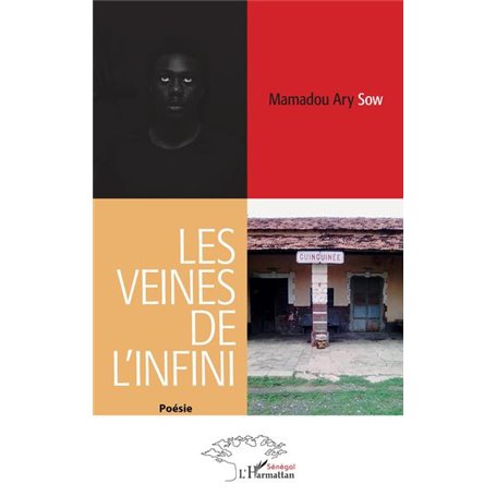 Les veines de l'infini