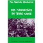 Des mangroves en terre haute