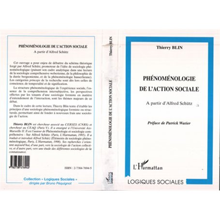 Phénoménologie de l'action sociale