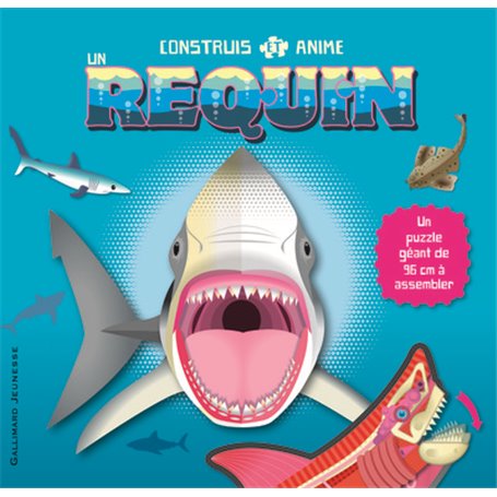 Construis et anime un requin
