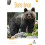 L'Ours Brun
