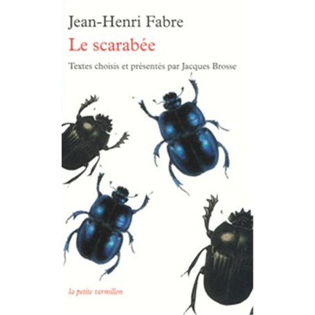 Le scarabée