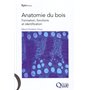 Anatomie du bois