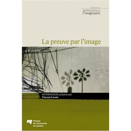 La preuve par l'image