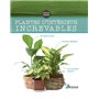 Plantes d'intérieur increvables