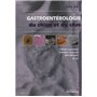 Gastroentérologie du chien et du chat