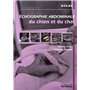 Echographie Abdominale du chien et du chat