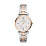 Montre Femme Fossil ES5156