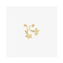 Boucles d´oreilles Femme Radiant RY000137