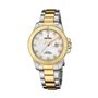 Montre Femme Festina F20504/2