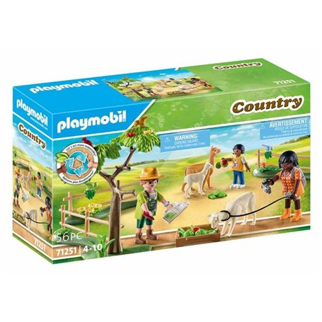 Figurine daction Playmobil 71251