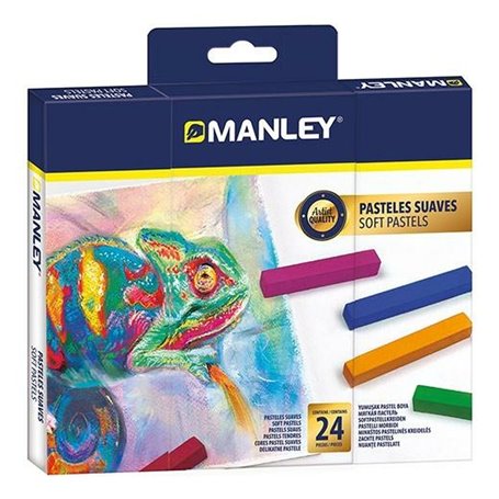 Gâteaux Manley Multicouleur 24 Pièces