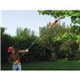 Elagueuse électrique sur perche électrique BLACK+DECKER - PS7525-QS -